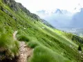 Sentiero nel **parco dell'Adamello**, con escursionisti su un crinale erboso e montagne sullo sfondo.