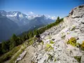 Ciclista in discesa su sentiero roccioso, con montagne innevate sullo sfondo, durante il giro dei forti tonale.