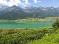 Lago di Caldaro, un gioiello verde smeraldo incastonato tra vigneti e montagne. Cosa vedere a Ronzone? Questo paesaggio mozzafiato è solo un assaggio.