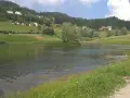 Il lago di Cavareno, con le sue acque tranquille, fa da specchio alle case sui pendii verdi e ai boschi. Due cani giocano felici nell'acqua.