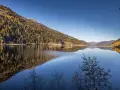 Autunno dorato sul **Val d'Ultimo lago**, con boschi che si specchiano nelle acque calme e un cielo azzurro intenso.