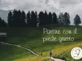 Persone che fanno trekking su un sentiero in montagna, tra prati verdi e alberi.