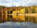 Colori autunnali vibranti si specchiano nel lago santo Val di Cembra, creando un paesaggio incantevole.