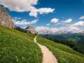 Sentiero tortuoso su un prato fiorito, ideale per chi cerca dove fare trekking tra le maestose Dolomiti.