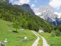 Sentiero che sale verso un rifugio sull'**altopiano Paganella**, circondato da prati fioriti e boschi rigogliosi, con imponenti vette rocciose sullo sfondo.