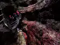Esploratori con caschi rossi percorrono una passerella metallica nel **canyon Rio Sass fondo**, tra rocce scure e rosse.