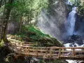 Sentiero in legno conduce alle maestose cascate Val di Sole, immerse in un bosco rigoglioso.