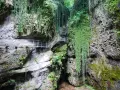 Sentiero attrezzato nel canyon Val di Non, tra rocce ricoperte di vegetazione e cascate di edera.