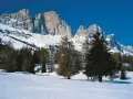 Vaste cime innevate dominano il paesaggio alpino. La **passo costalunga altitudine** è raggiunta tra boschi di conifere e un cielo azzurro intenso.