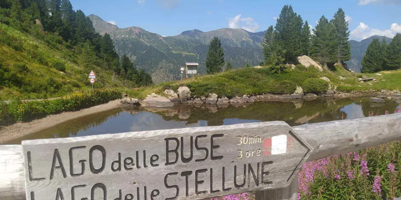 Segnavia in legno indica il percorso per il lago delle Buse e il lago delle Stellune, circondato da fiori viola e montagne verdi.