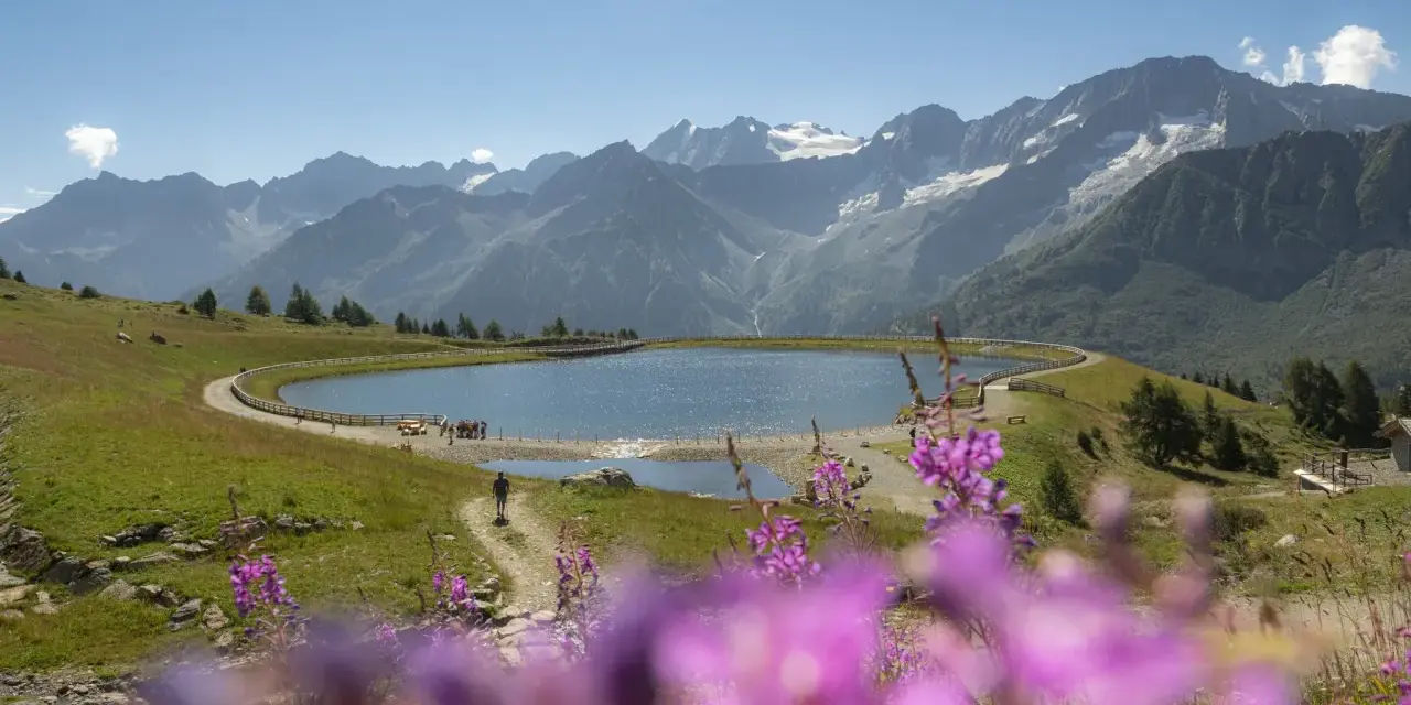 Un sentiero serpeggia verso il lago Valbiolo, circondato da montagne maestose e fiori viola in primo piano.