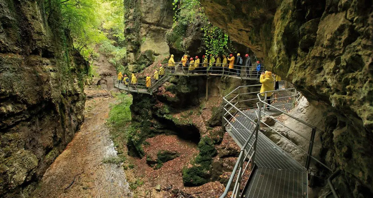 Un gruppo di turisti con impermeabili gialli esplora il **rio sass fondo**, un canyon verdeggiante con passerelle metalliche che si snodano tra le rocce.
