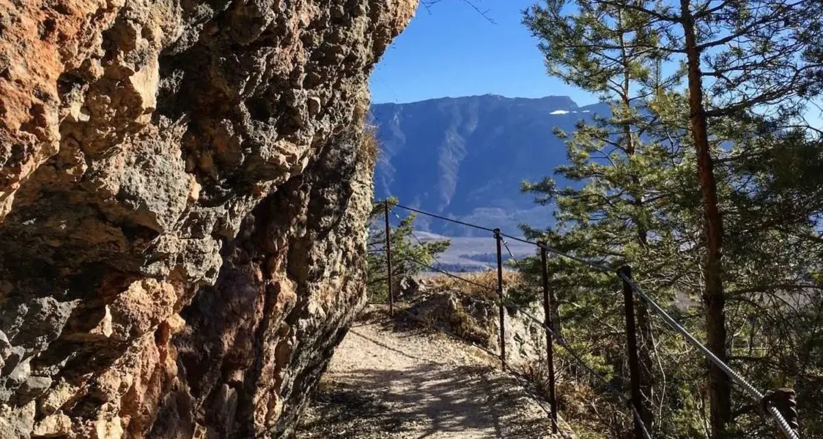 Sentiero margherita: un cammino roccioso con parapetto metallico, alberi e montagne sullo sfondo.