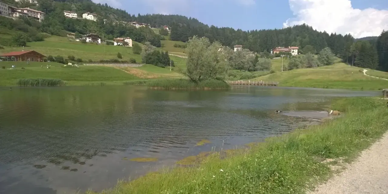 Il lago di Cavareno, con le sue acque tranquille, fa da specchio alle case sui pendii verdi e ai boschi. Due cani giocano felici nell'acqua.