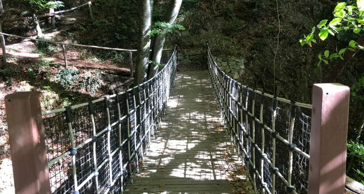 Un ponte sospeso in legno e corda attraversa un bosco ombroso, parte del sentiero dei masi.
