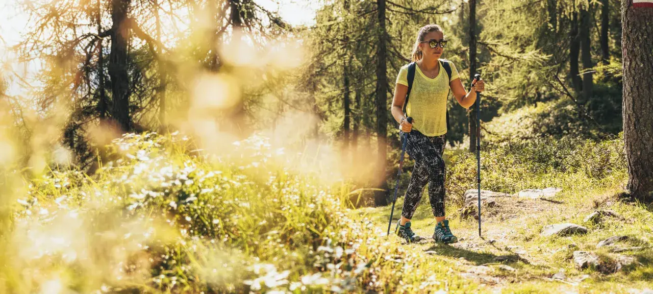 Una donna con bastoncini da trekking cammina su un sentiero soleggiato in Trentino, godendosi un facile trekking tra i boschi.