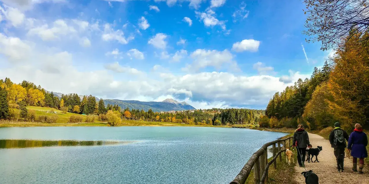 Passeggiata autunnale con cani lungo il lago, tra boschi colorati e montagne. Predaia cosa vedere: questo splendido paesaggio.