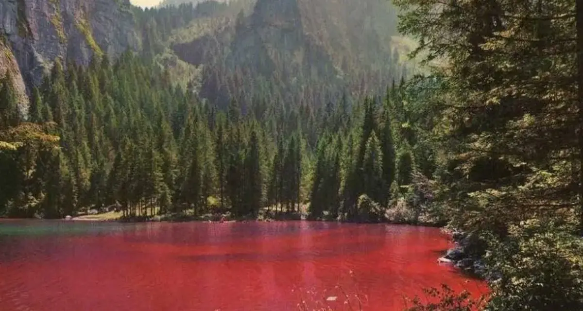Un suggestivo lago che cambia colore, circondato da una fitta foresta di conifere e imponenti montagne.