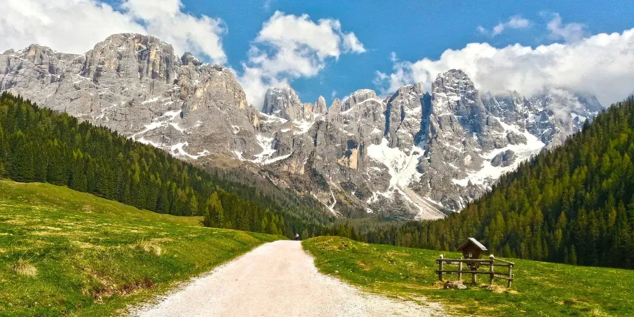 Sentiero sterrato tra prati verdi e boschi, con imponenti vette innevate sullo sfondo. Le Dolomiti facili invitano a una passeggiata panoramica.