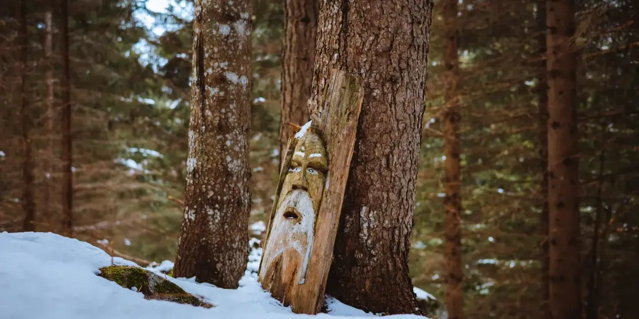 Volto di legno intagliato, forse un guardiano del sentiero degli gnomi, spunta dalla neve in un bosco d'inverno.