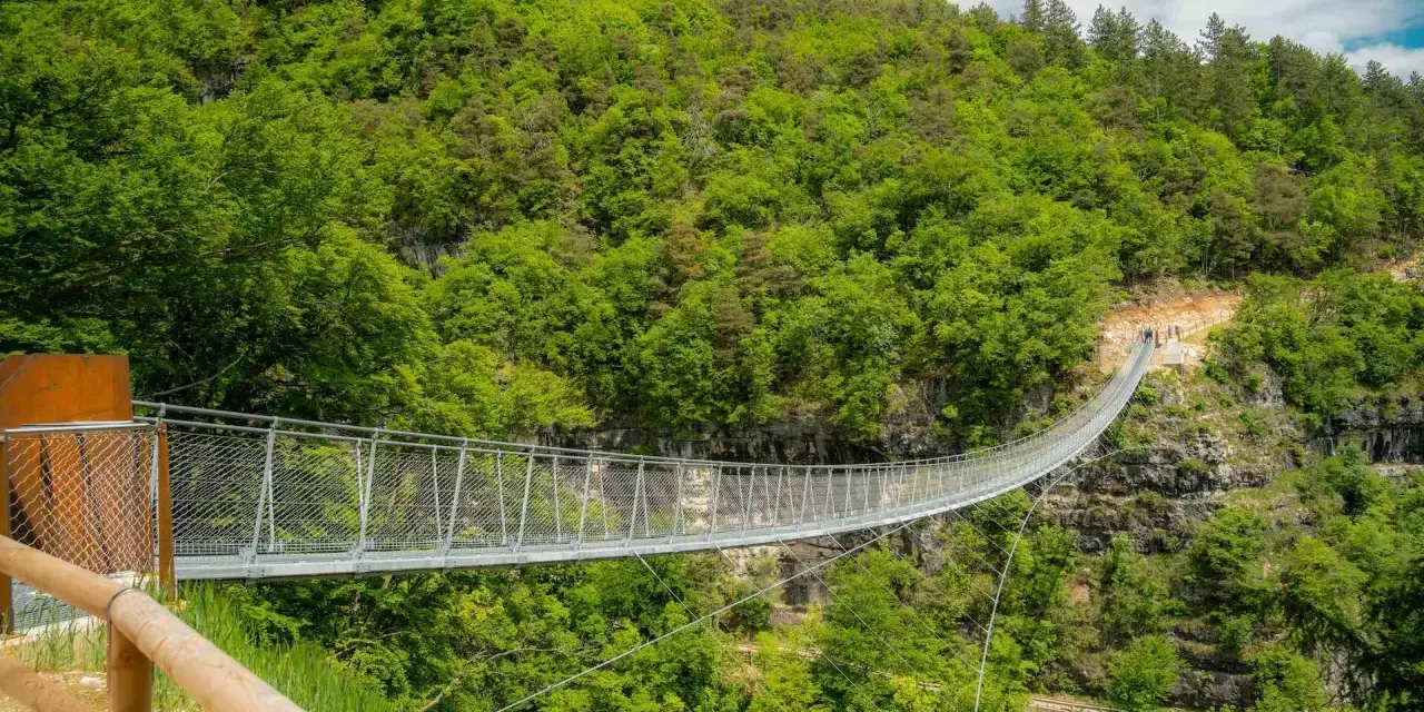 Il ponte tibetano di Mezzolombardo si estende su un profondo canyon, circondato da una lussureggiante foresta verde.