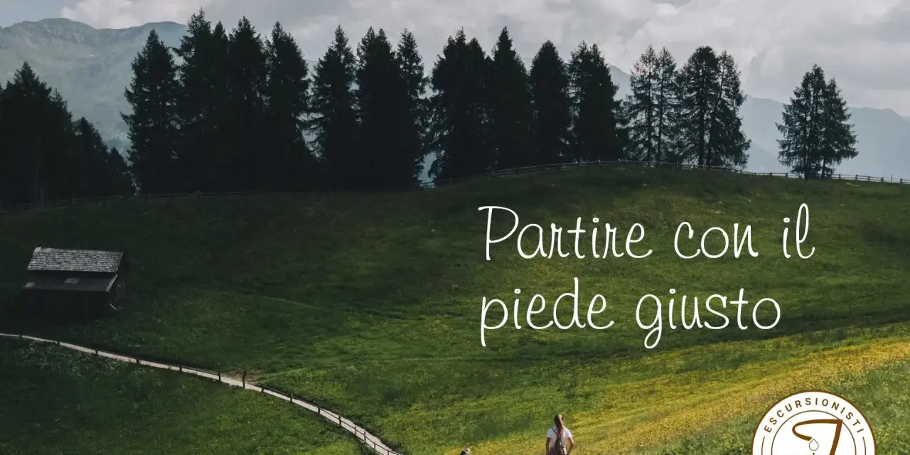 Persone che fanno trekking su un sentiero in montagna, tra prati verdi e alberi.