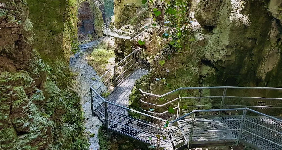 Sentiero metallico si snoda lungo un **canyon fondo**, con un ruscello che scorre tra rocce ricoperte di muschio.