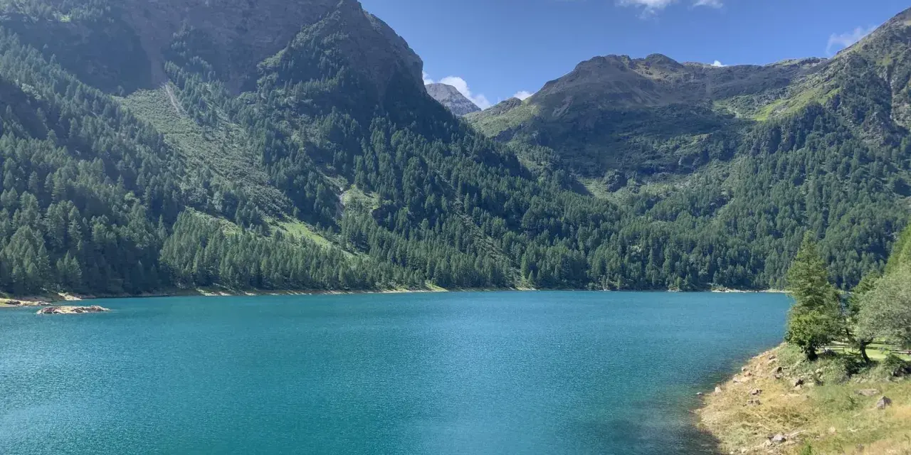 Il lago di Pian Palù, con le sue acque turchesi, è incastonato tra montagne ricoperte di fitti boschi di conifere.