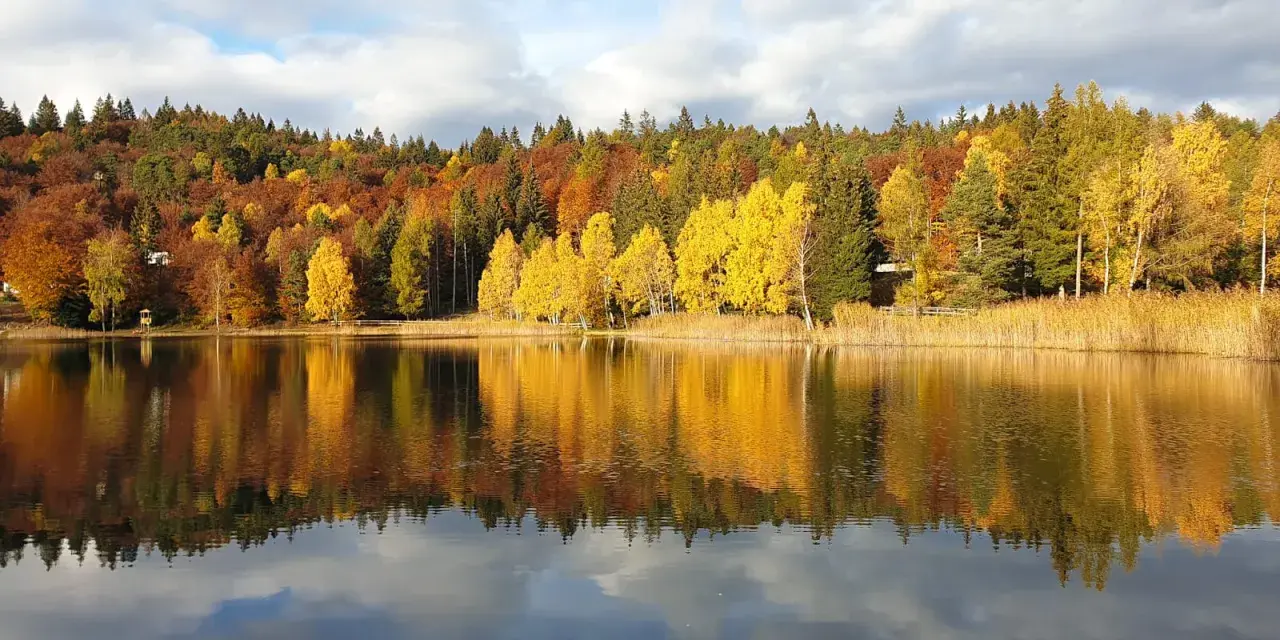 Colori autunnali vibranti si specchiano nel lago santo Val di Cembra, creando un paesaggio incantevole.
