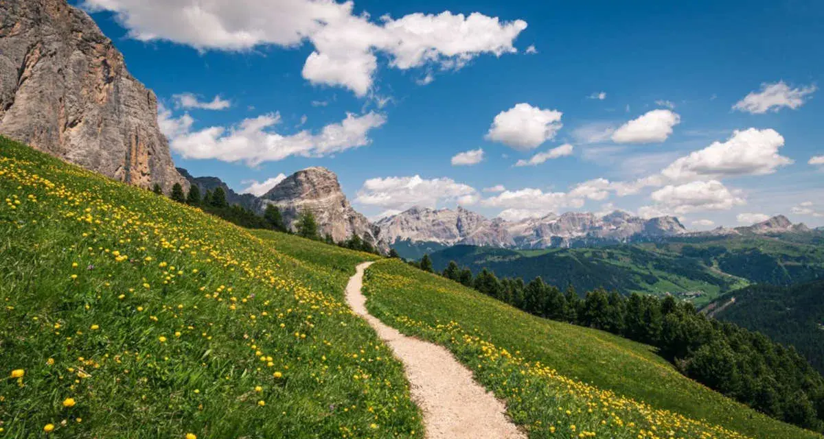 Sentiero tortuoso su un prato fiorito, ideale per chi cerca dove fare trekking tra le maestose Dolomiti.
