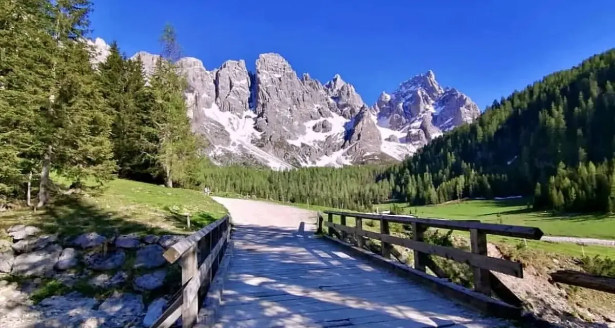 Ponte in legno su ruscello, sentiero per trekking Val Venegia, con montagne innevate e boschi verdi sotto un cielo azzurro.