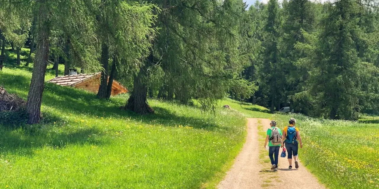 Due persone camminano su un sentiero nella Val di Non, circondate da prati verdi e alberi. Una baita di legno si intravede tra gli alberi.