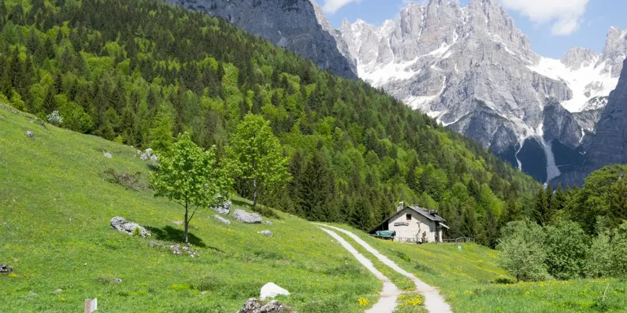 Sentiero che sale verso un rifugio sull'**altopiano Paganella**, circondato da prati fioriti e boschi rigogliosi, con imponenti vette rocciose sullo sfondo.