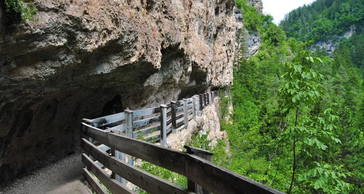 Sentiero a San Romedio scavato nella roccia, con passerella in legno e vista sulla valle boscosa.