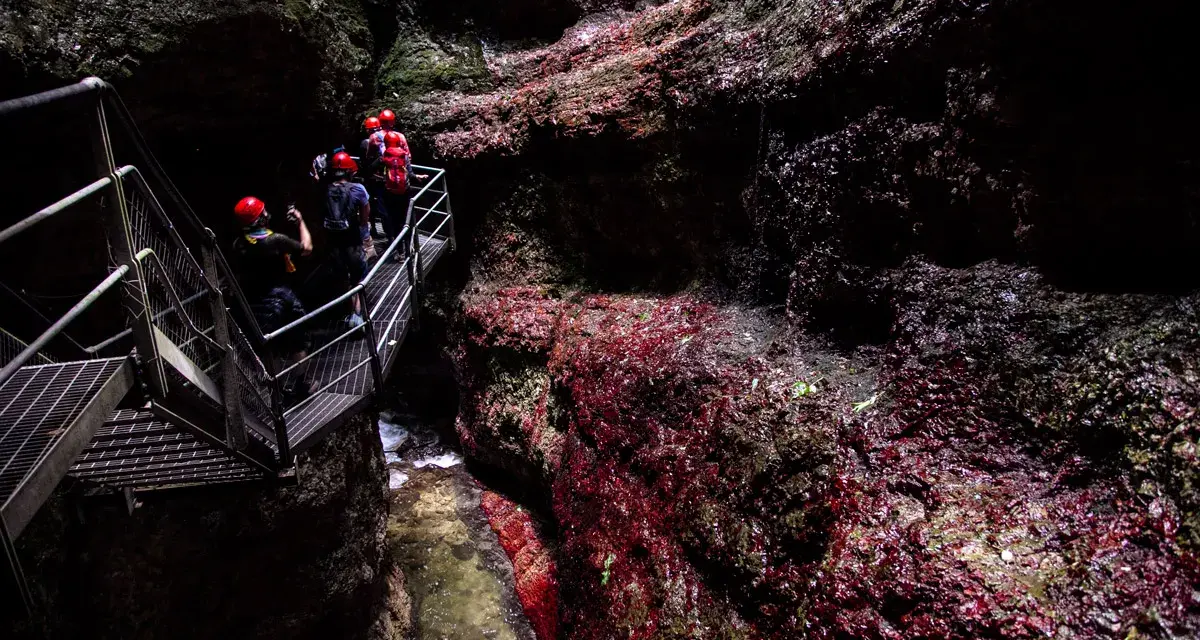 Esploratori con caschi rossi percorrono una passerella metallica nel **canyon Rio Sass fondo**, tra rocce scure e rosse.