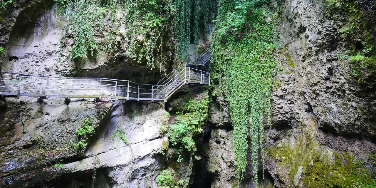 Sentiero attrezzato nel canyon Val di Non, tra rocce ricoperte di vegetazione e cascate di edera.