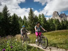 Coppia in mountain bike su sentiero a Passo Campolongo, con bosco di abeti e montagne sullo sfondo.