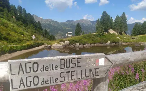 Segnavia in legno indica il percorso per il lago delle Buse e il lago delle Stellune, circondato da fiori viola e montagne verdi.