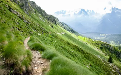Sentiero nel **parco dell'Adamello**, con escursionisti su un crinale erboso e montagne sullo sfondo.