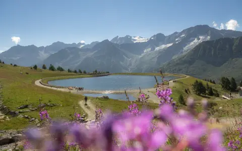 Un sentiero serpeggia verso il lago Valbiolo, circondato da montagne maestose e fiori viola in primo piano.
