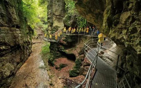 Un gruppo di turisti con impermeabili gialli esplora il **rio sass fondo**, un canyon verdeggiante con passerelle metalliche che si snodano tra le rocce.