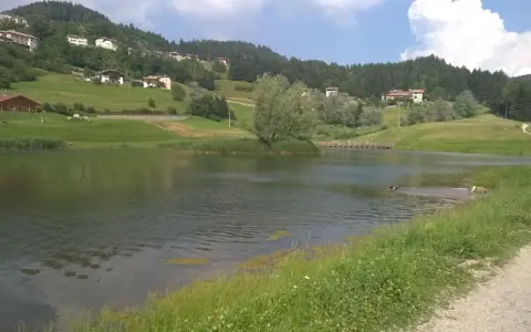 Il lago di Cavareno, con le sue acque tranquille, fa da specchio alle case sui pendii verdi e ai boschi. Due cani giocano felici nell'acqua.