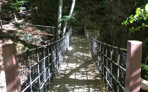 Un ponte sospeso in legno e corda attraversa un bosco ombroso, parte del sentiero dei masi.