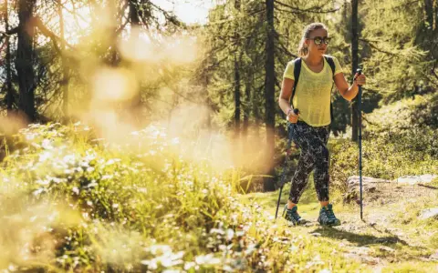 Una donna con bastoncini da trekking cammina su un sentiero soleggiato in Trentino, godendosi un facile trekking tra i boschi.