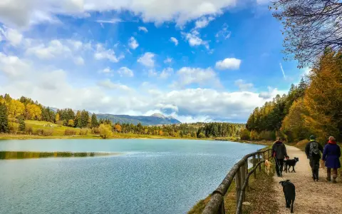 Passeggiata autunnale con cani lungo il lago, tra boschi colorati e montagne. Predaia cosa vedere: questo splendido paesaggio.