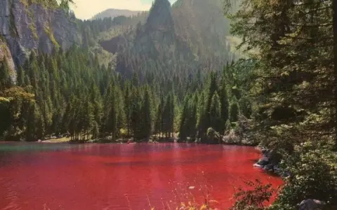Un suggestivo lago che cambia colore, circondato da una fitta foresta di conifere e imponenti montagne.