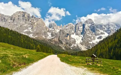 Sentiero sterrato tra prati verdi e boschi, con imponenti vette innevate sullo sfondo. Le Dolomiti facili invitano a una passeggiata panoramica.