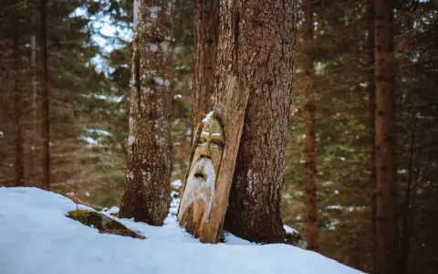 Volto di legno intagliato, forse un guardiano del sentiero degli gnomi, spunta dalla neve in un bosco d'inverno.
