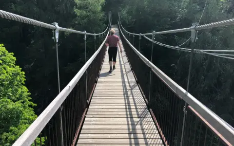 Una persona cammina su un **ponte tibetano** tra gli alberi delle **Dolomiti**.