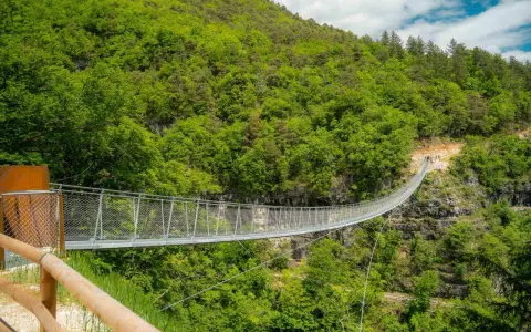 Il ponte tibetano di Mezzolombardo si estende su un profondo canyon, circondato da una lussureggiante foresta verde.
